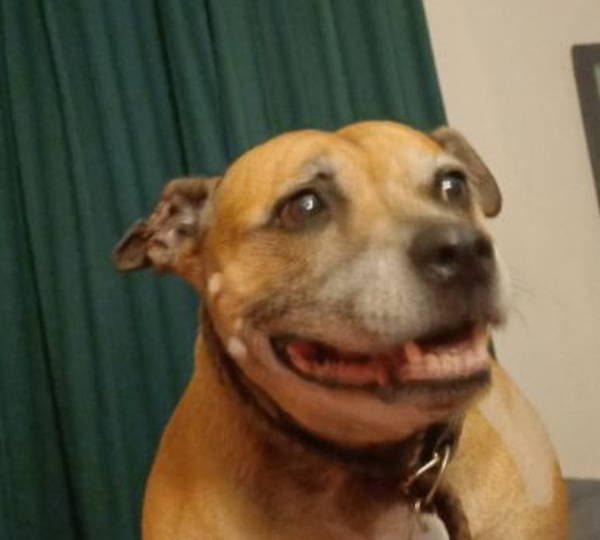 Bella