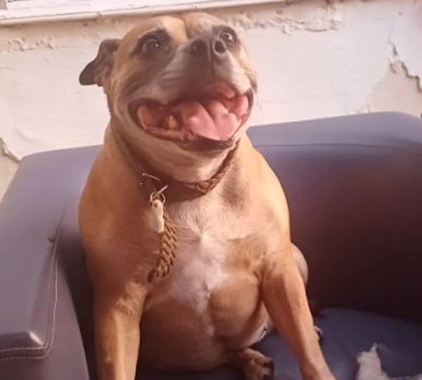 Bella