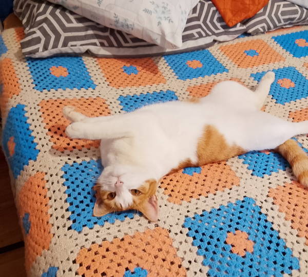 Queen Katja