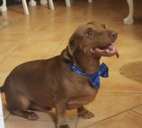Frankie