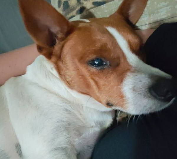 Milo