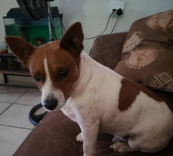 Milo