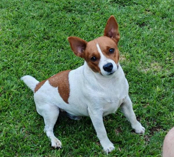 Milo