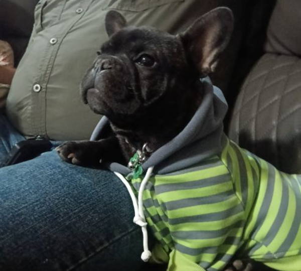 Bertie