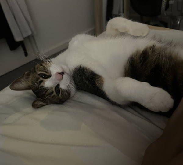 Milo