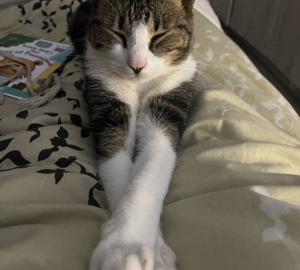 Milo