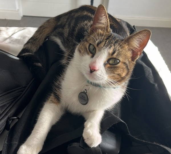Milo