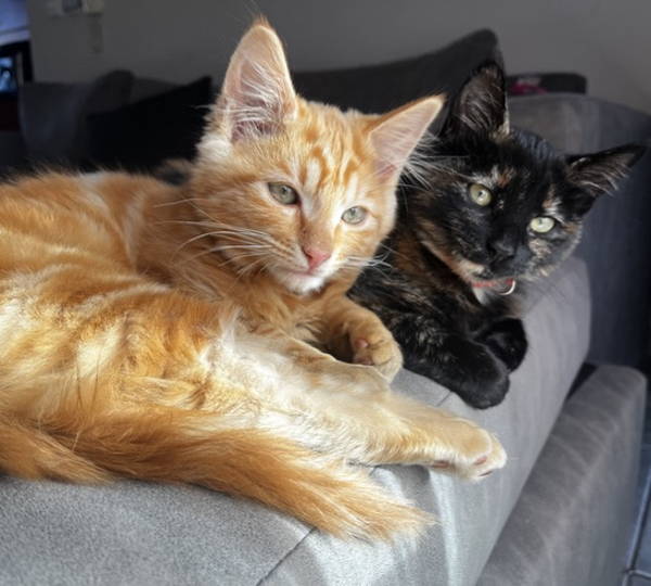 Coco & Brandi