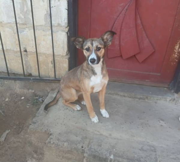 Max