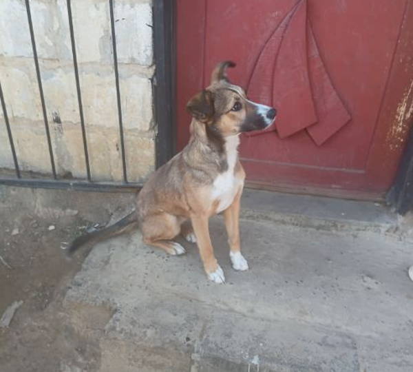 Max