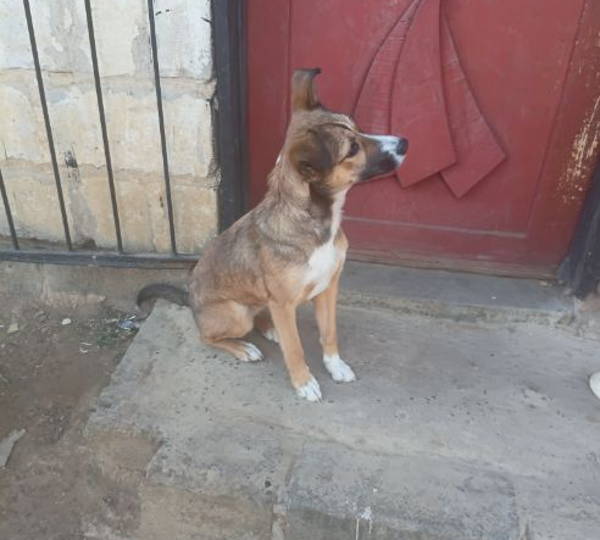 Max