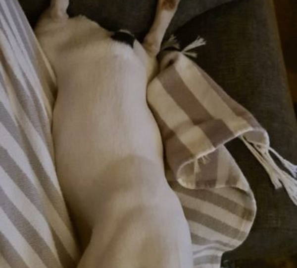 Suki
