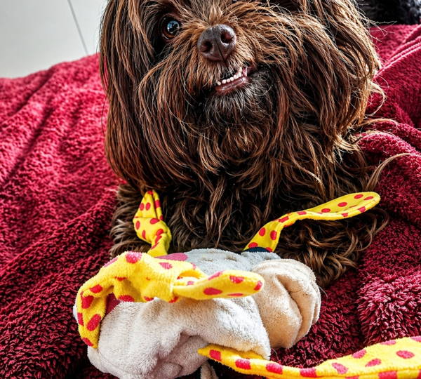 Coco