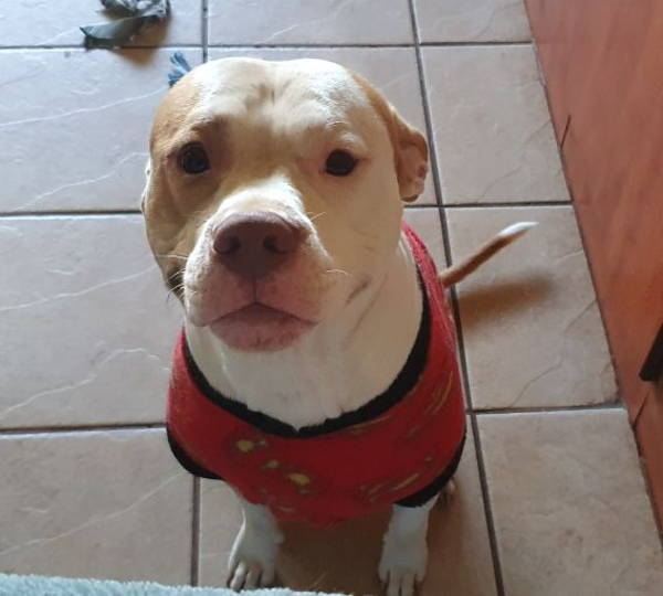 Zeus