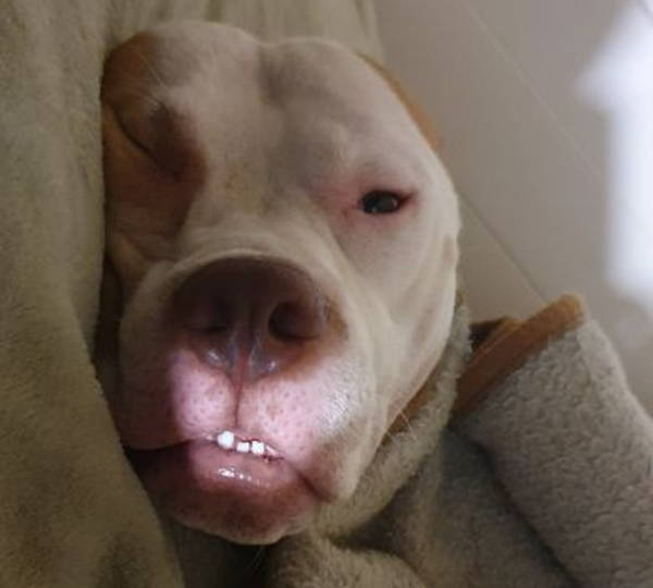 Zeus