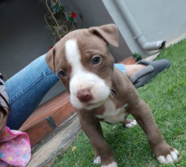 Skye