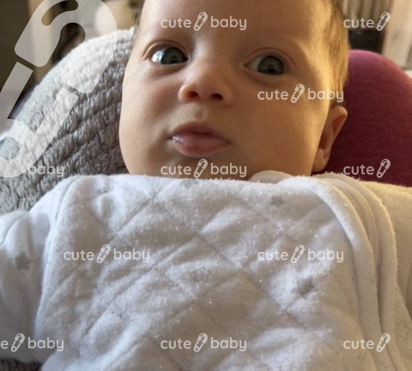 Isabella