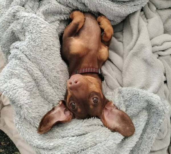 Rocky
