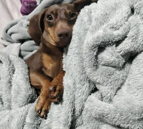 Rocky