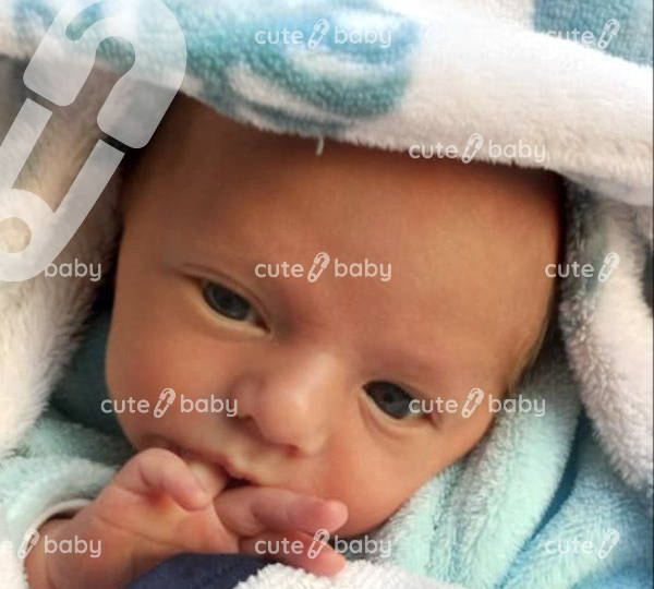 Aydin