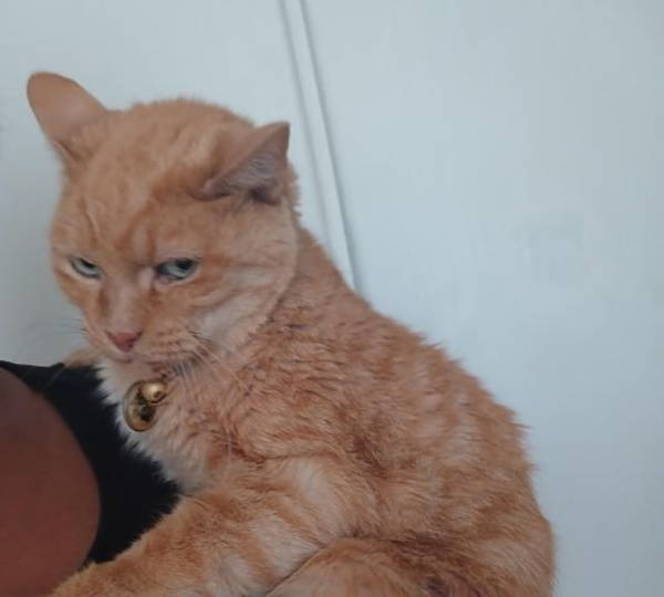 Nuki