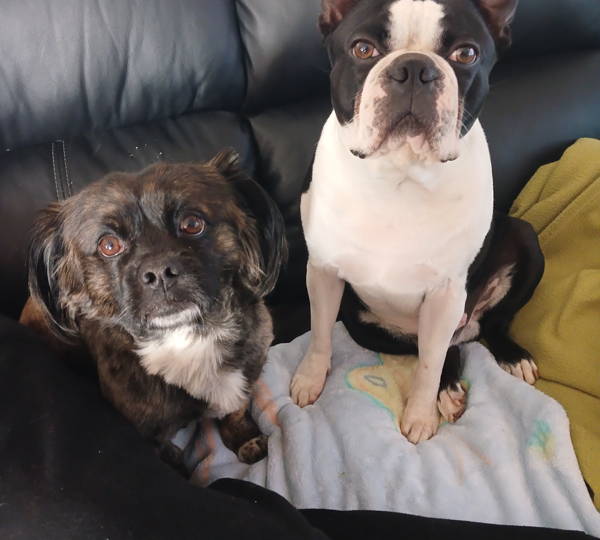 Bennie & Ozzy