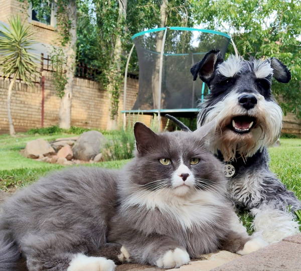 Muis & Schnoefie