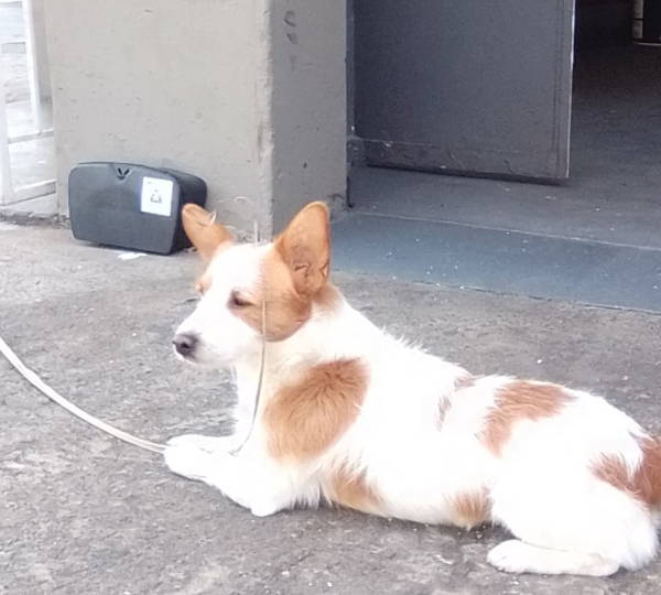 Rusty