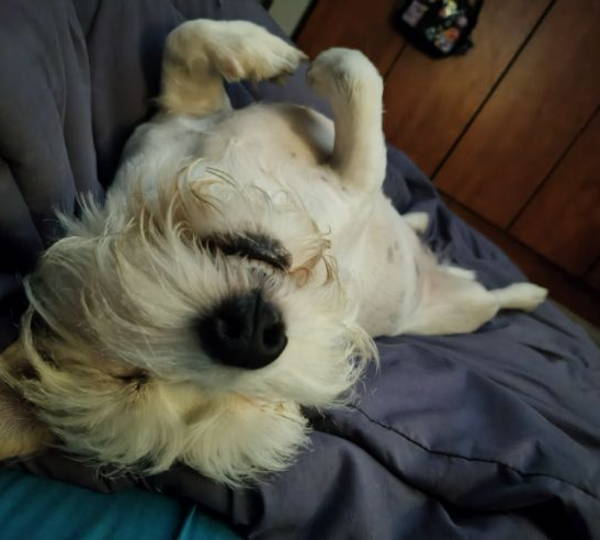 Bonnie