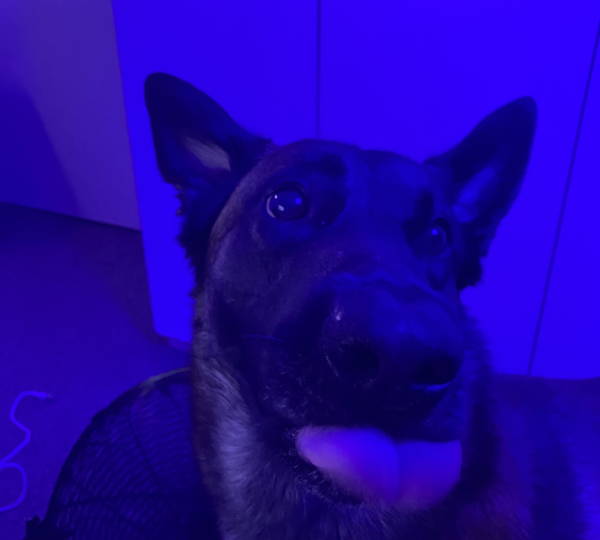 Kylo