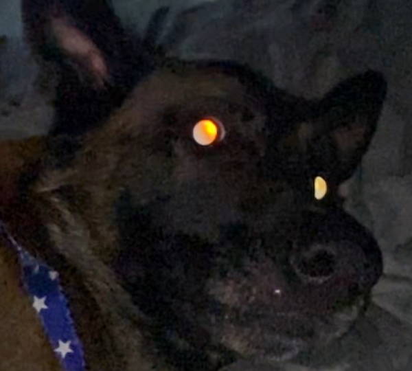 Kylo