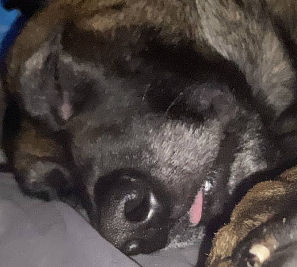 Kylo