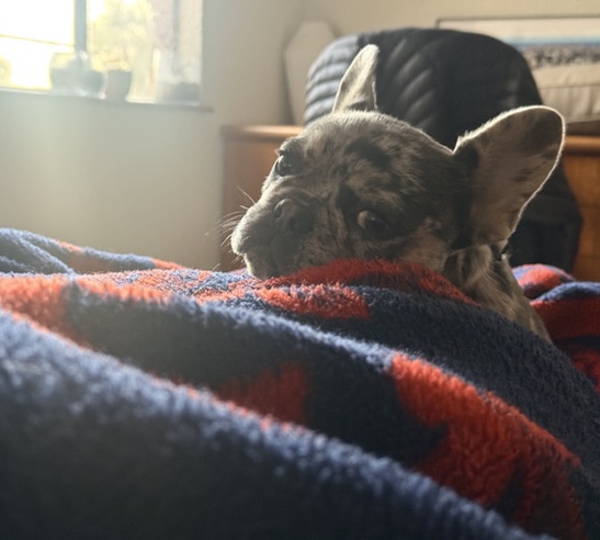 Molly