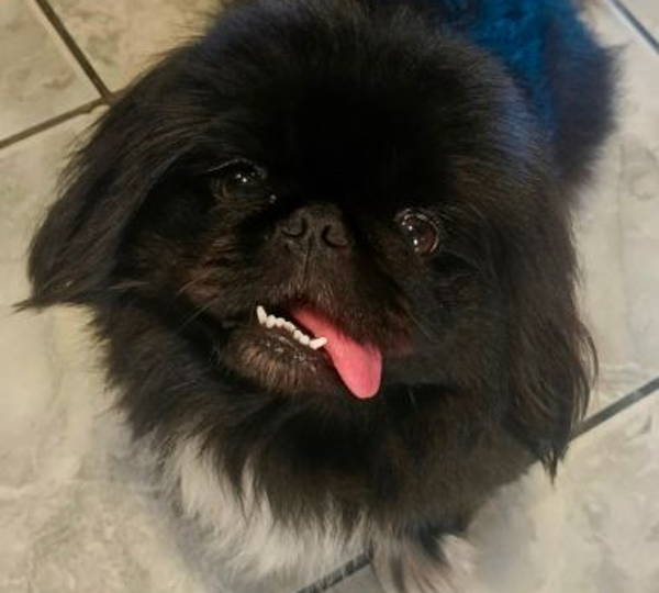Luna