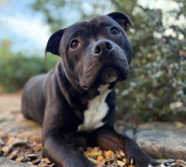 Max