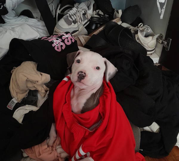 Zuko
