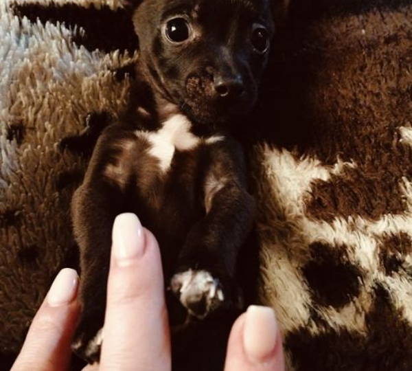 Penny