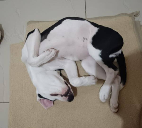 Luna