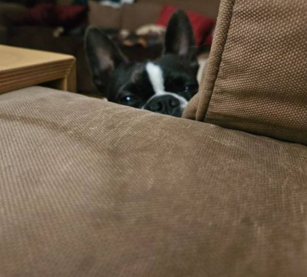 Zoey