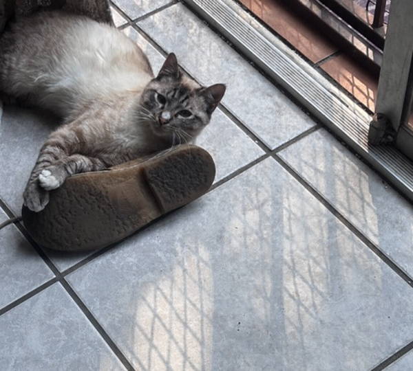 Benson