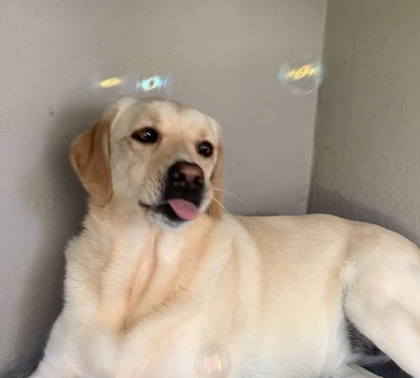 Luna