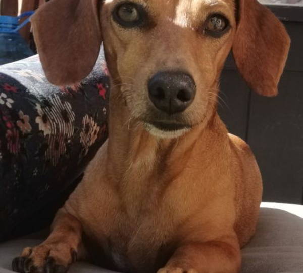 Tilly