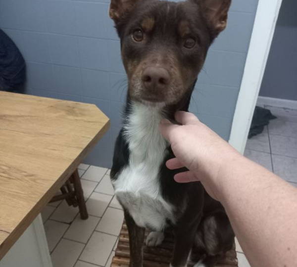 Milo