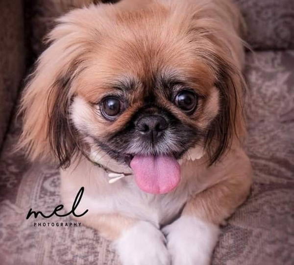 Bella