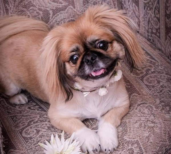 Bella