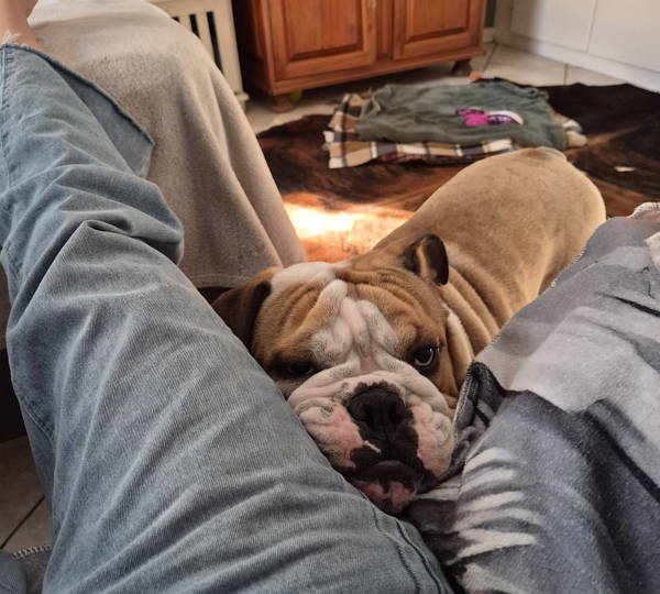 Arlo