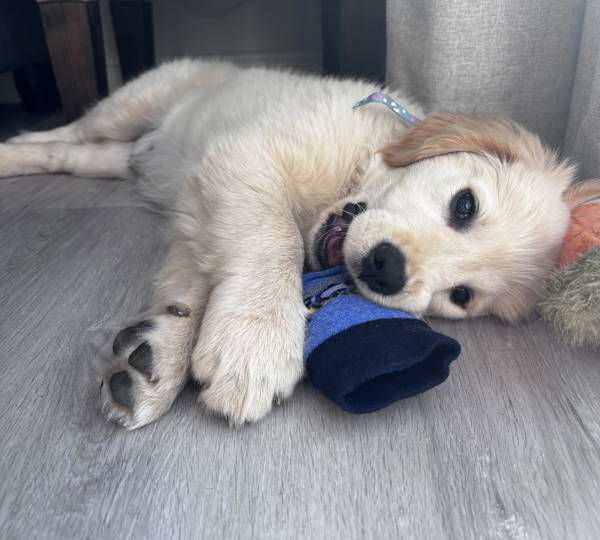 RJ