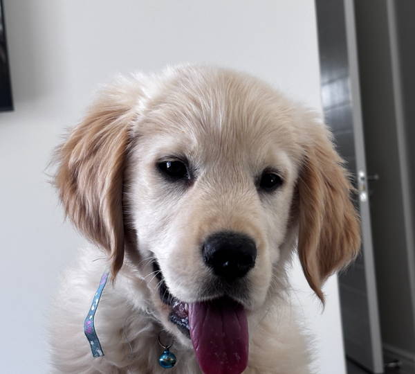 RJ