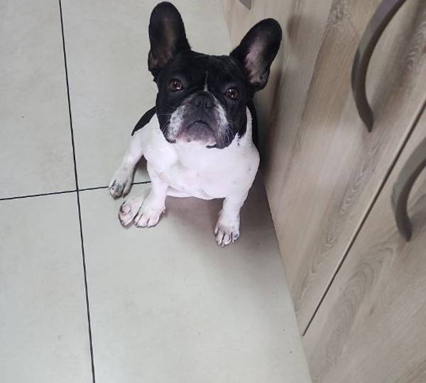 Winston