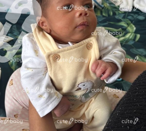 Mateo